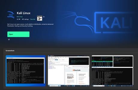 A Beginner's Guide to Kali Linux WSL